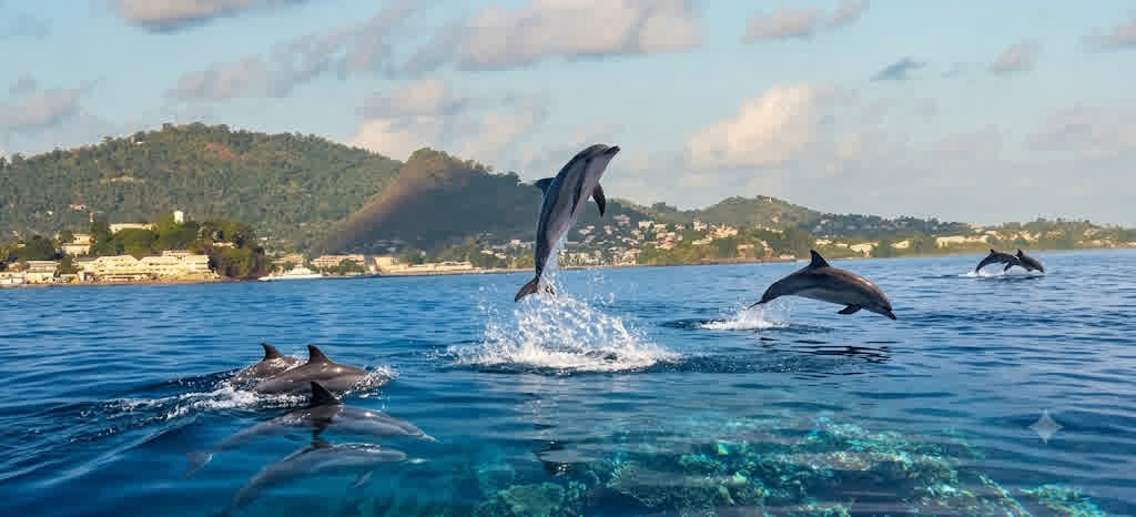 S'installer à Mayotte